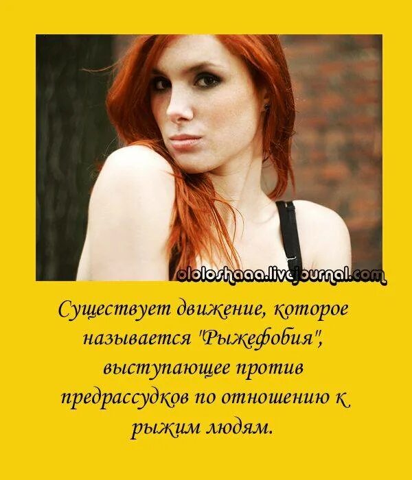 Если крыша ржавая то подвал мокрый