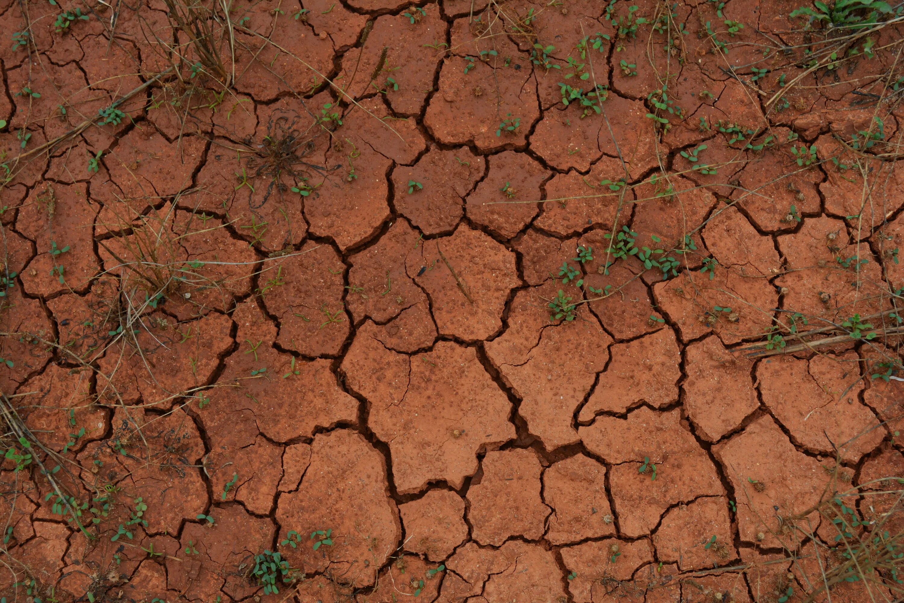Ground