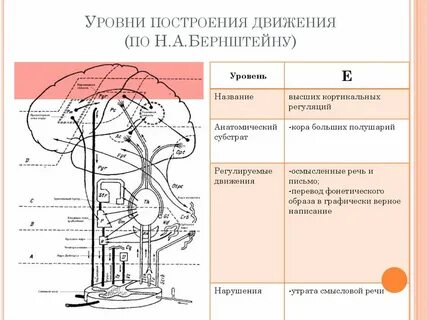 Схема высшей степени