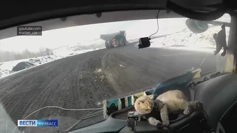 Вести кузбасс в 21.05