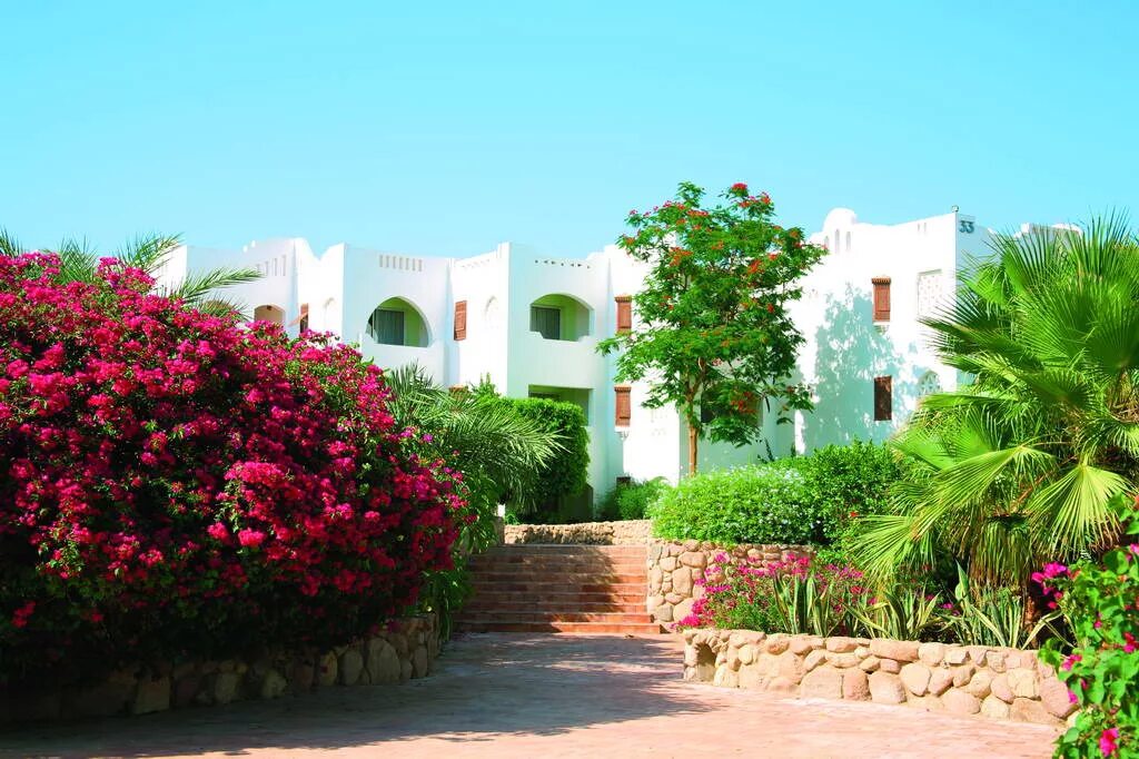 Domina oasis hotel. Отель domina coral bay oasis 5. Domina отель египет. Египет отель domina coral bay oasis 5. Domina coral bay oasis 5*.