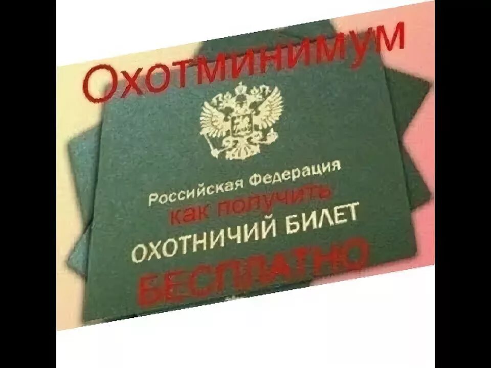 Охотминимум 2025 для получения охотничьего. Охотминимум 2025 для получения охотничьего