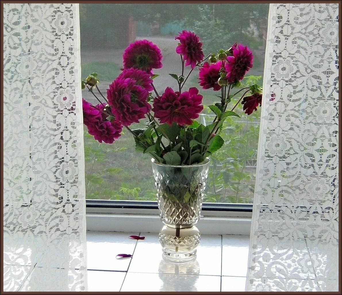 Хризантема на подоконнике. Цветы на окне. Красивый букет цветов на окне. Пионы у окна. Цветы в вазе на окне.