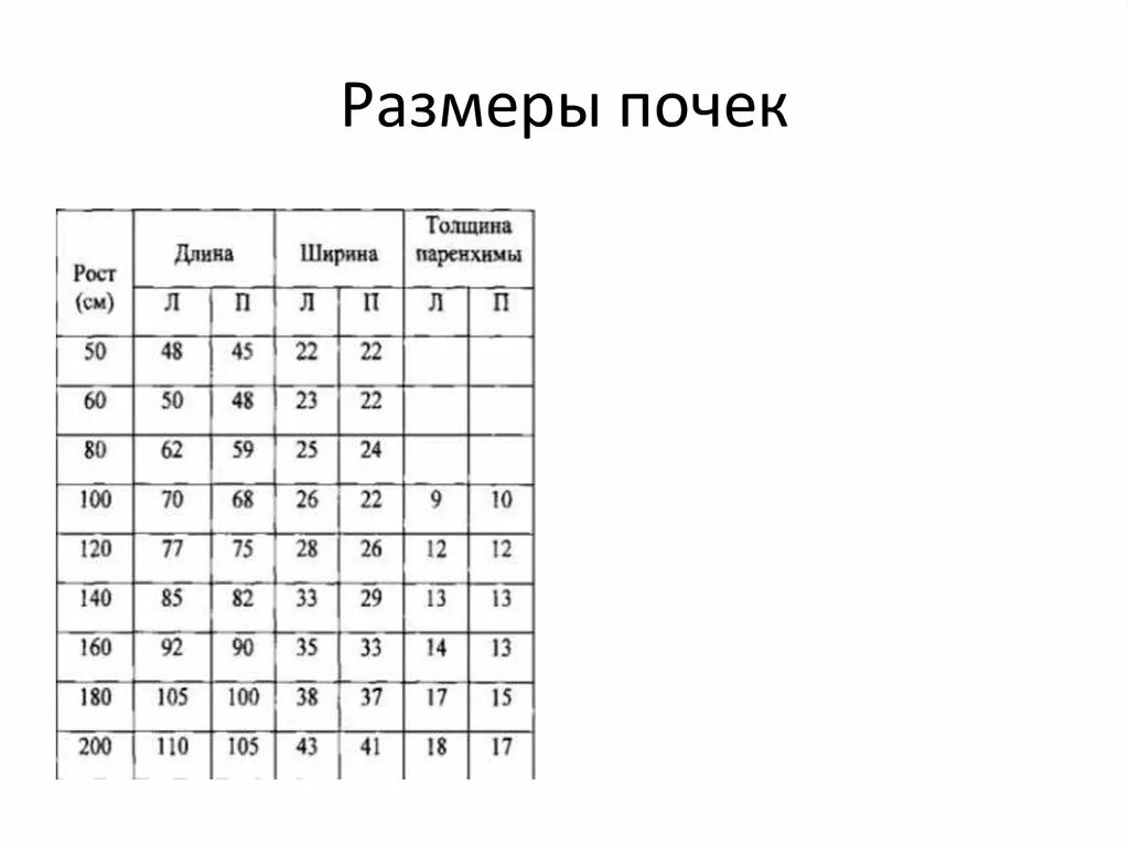 Размер почек у взрослых мужчин. Размеры почек на УЗИ норма у детей. Размеры почек в норме у мужчин. УЗИ почек таблица нормальные показатели. Толщина паренхимы почки в норме у детей.