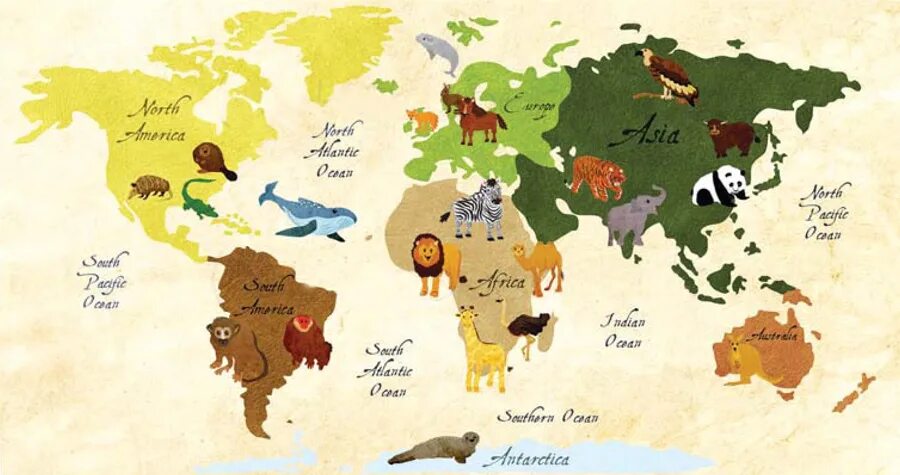 Карта животных. Make a poster draw a map of. World map for children. World map for children. Make a poster draw a map of.