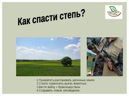 Непаханая земля 4 буквы