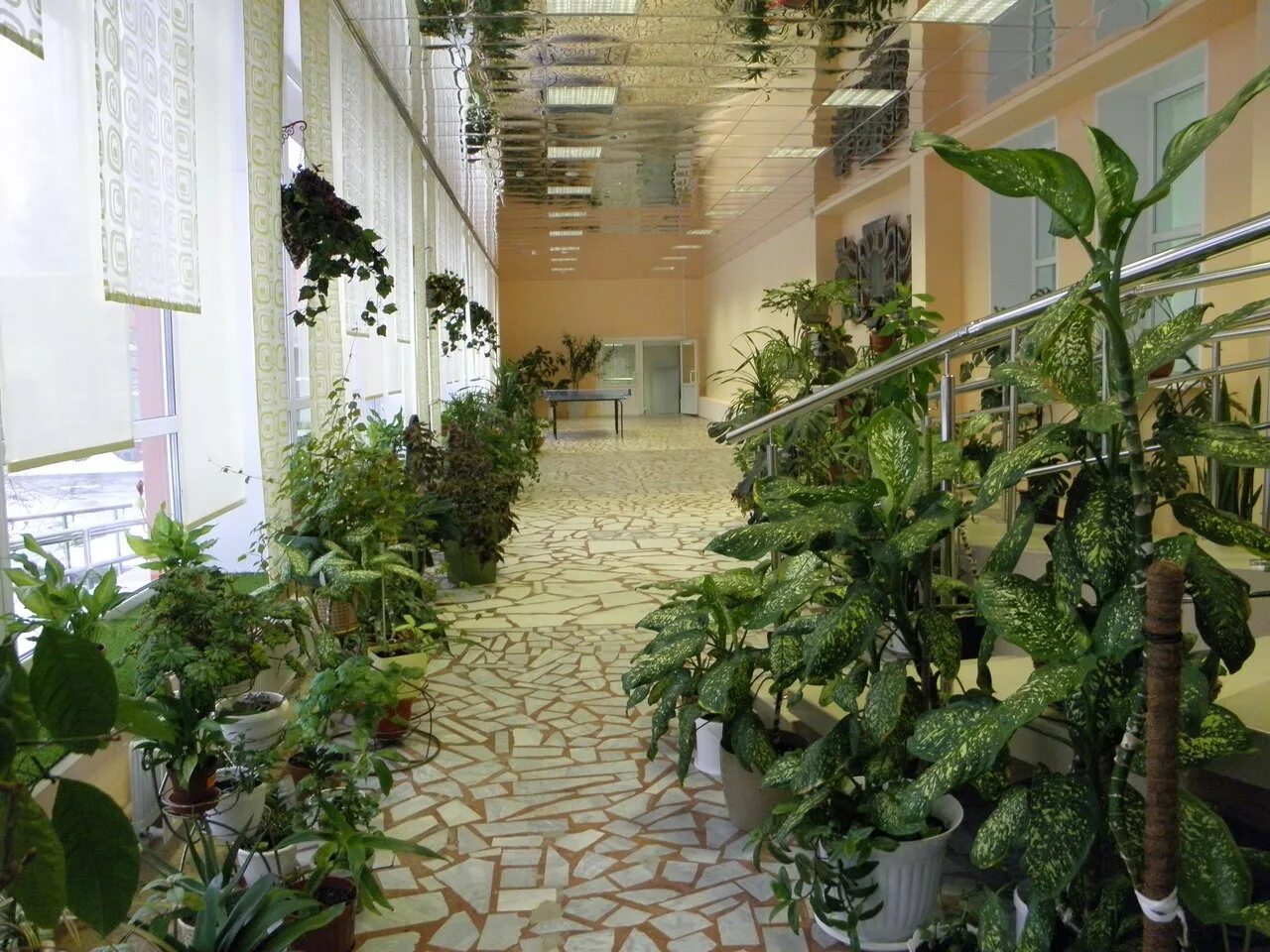 Профилакторий мончегорск. Профилакторий кольский мончегорск бассейн. Профилакторий мончегорск. Санаторий профилакторий кольский. Профилакторий кольский мончегорск.