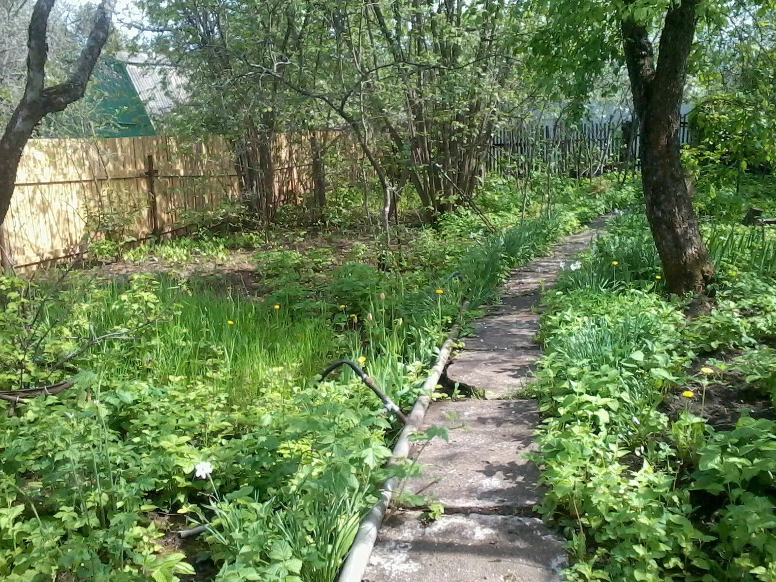 Продается сад. Снт салют тюмень. Сад глинка челябинск. Садовый участок автомобилист. Снт союз бийск.