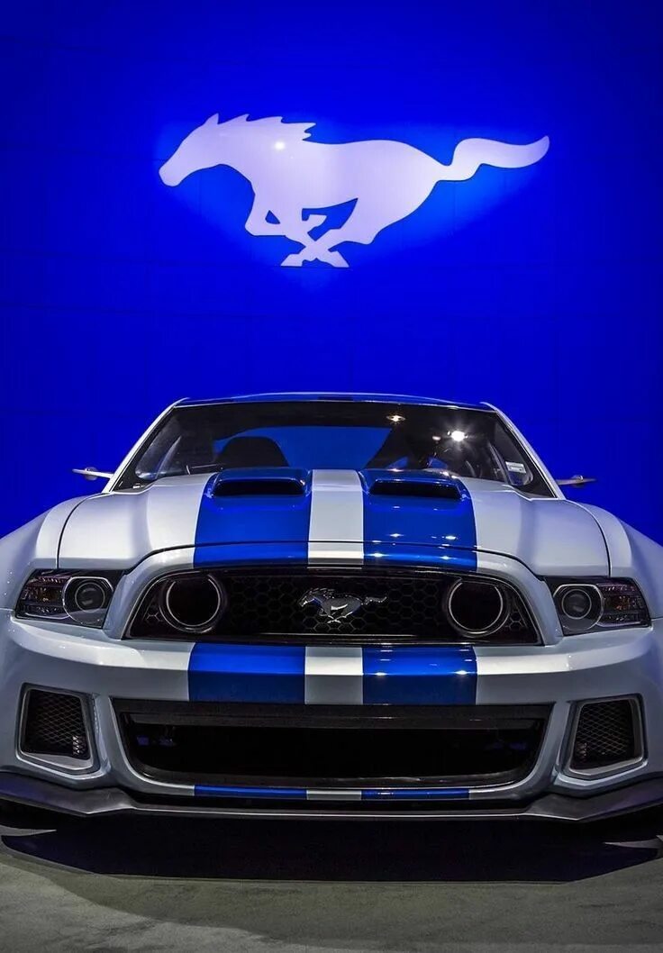 GT350R in 2023 Sports cars mustang, Ford mustang car, Mustang gt 350