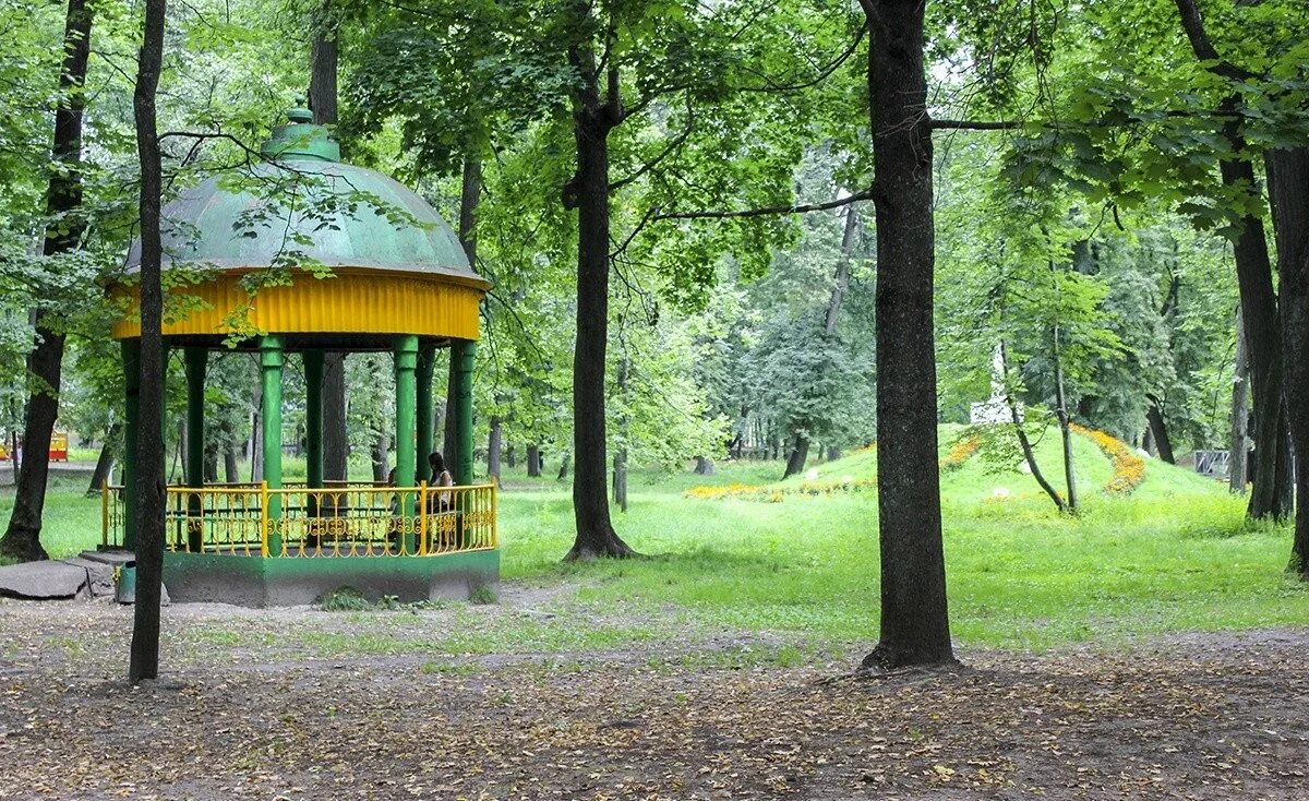 Деревья и кустарники в осенне-зимний период - Музей истории ВМЗ