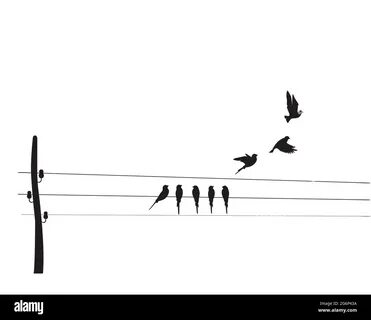 Two birds on a wire