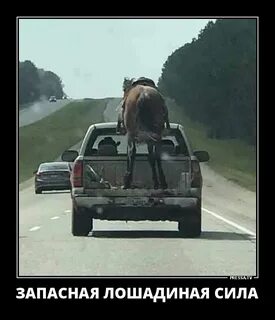 Что значит лошадиная сила в машине