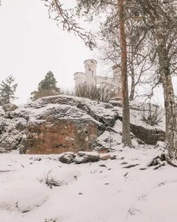 Парк монрепо зимой
