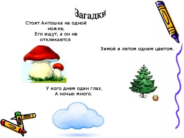 Зимой и летом 1 цветом отгадай. Зимой и летом 1 цветом отгадай
