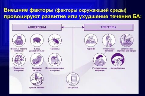 Аллергены астмы