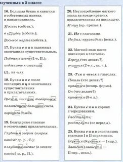 Курс 5 6 класса по русскому