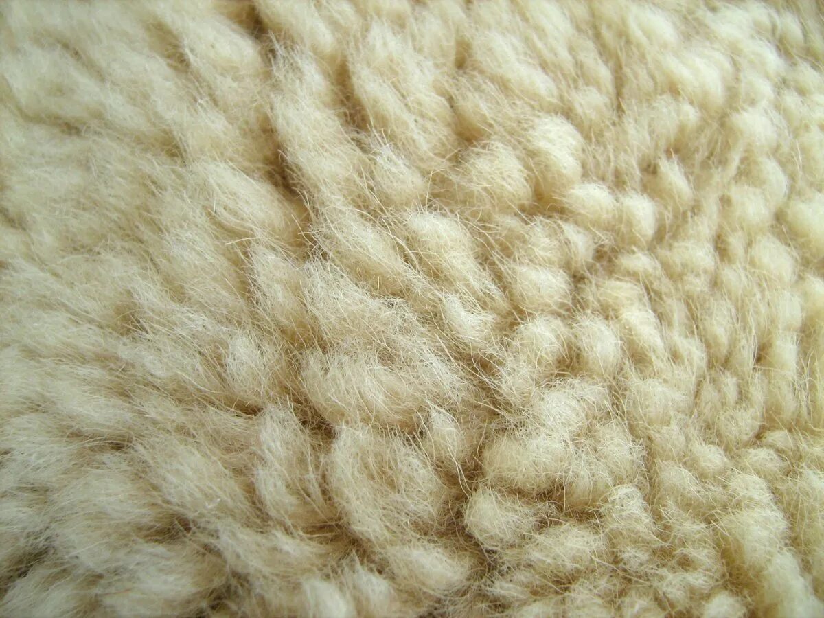 Wool шерсть. Овечья шерсть. овечья шерсть текстура. мех овцы. овечья шерсть фактура.