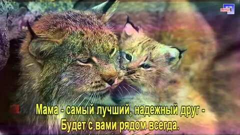 Песня я буду рядом караоке