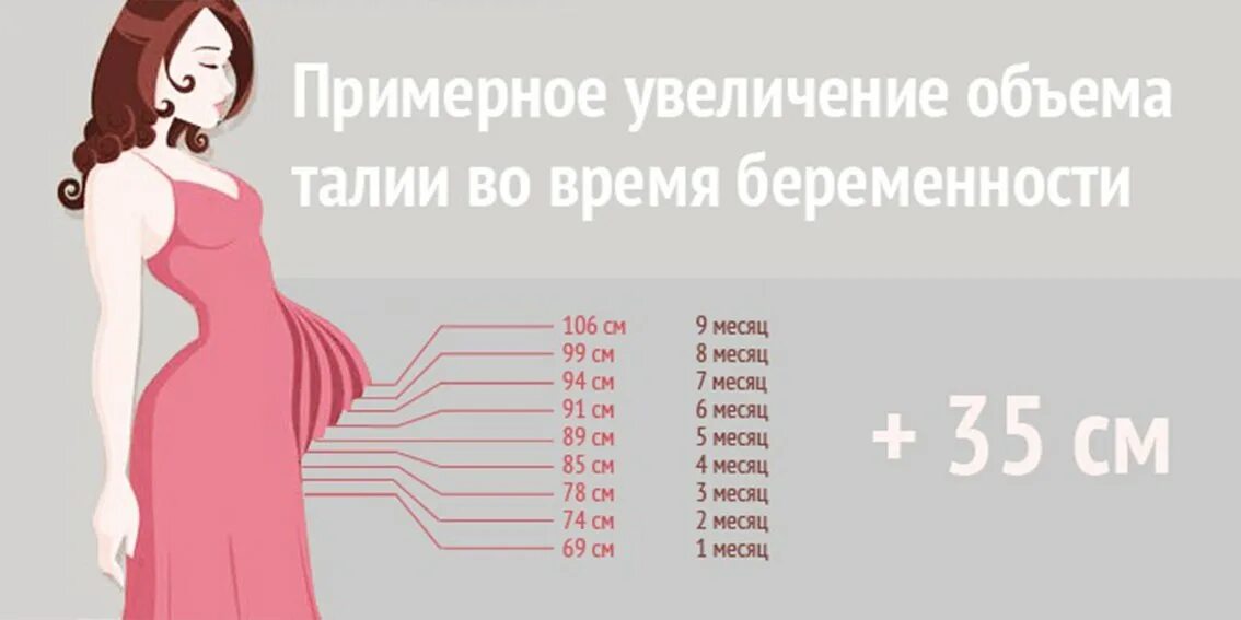 33 недели в месяцах. Недели беременности. Сроки беременности по неделям. Триместры беременности по неделям. Недели беременности по месяцам.