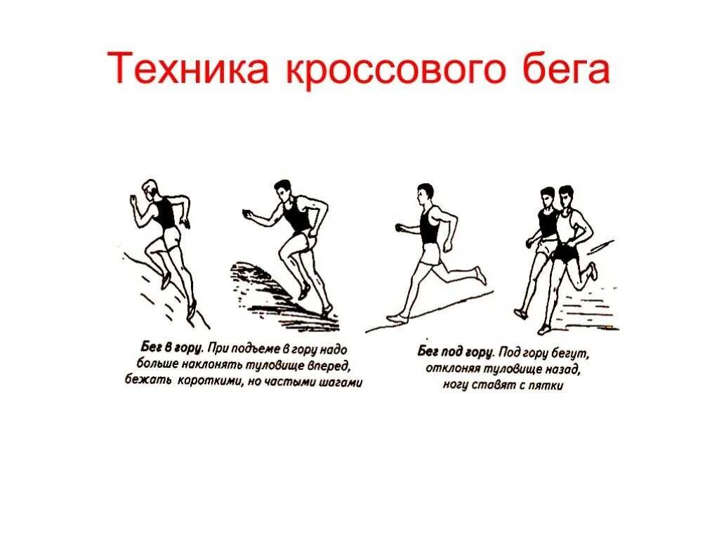Техника выполнения кросса. Техника бега по пересечённой местности. Техника кроссового бега по пересеченной местности. Техника кроссового бега кратко. Освоение техники бега по пересеченной местности.