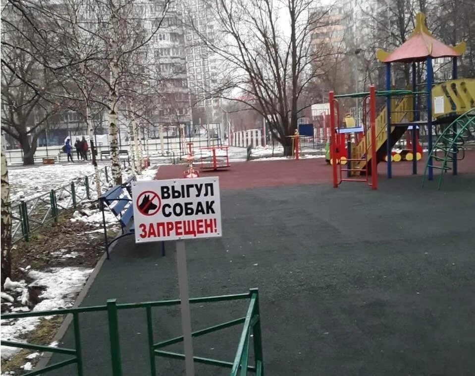Выгул собак на детской площадке запрещен. Запрет выгула собак на детских площадках. Табличка выгул собак. Выгул собак на детской площадке запрещен табличка. Вывески во дворе