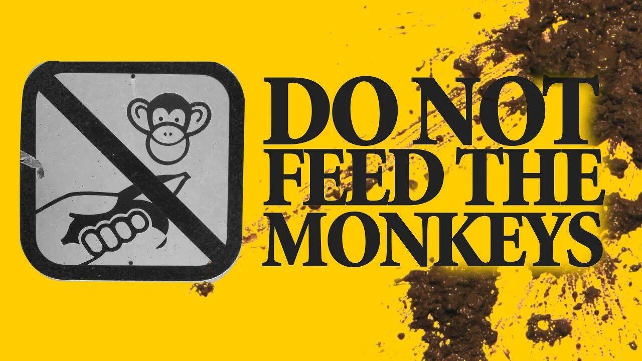 You not one. Пеоль змерис. Do not Feed the Monkeys Пеоль змерис. Do not Feed the Monkeys 2099. Do not Feed the Monkeys арты.