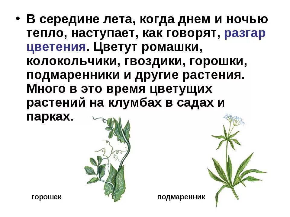 Как наступает 7 день