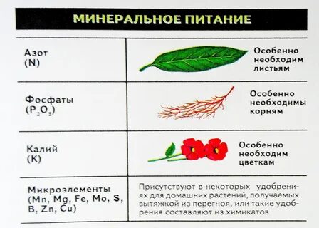 Какие минеральные вещества нужны растениям
