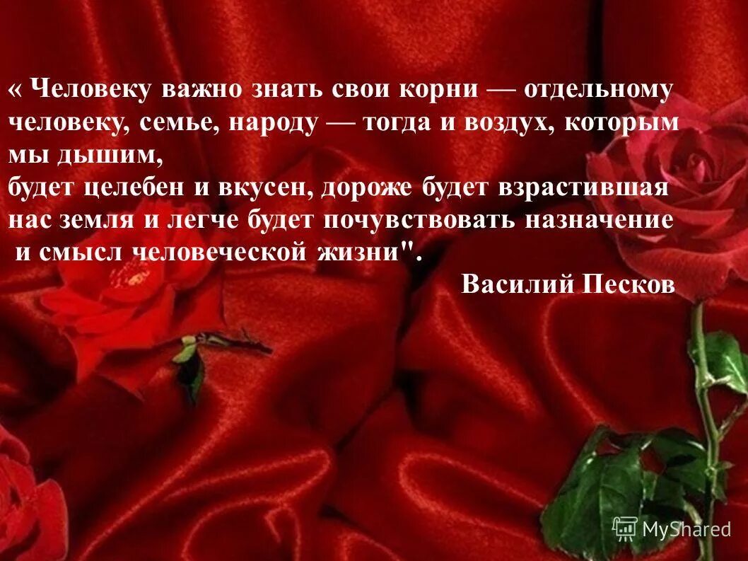 Важно знать свои корни. Важно знать свои корни