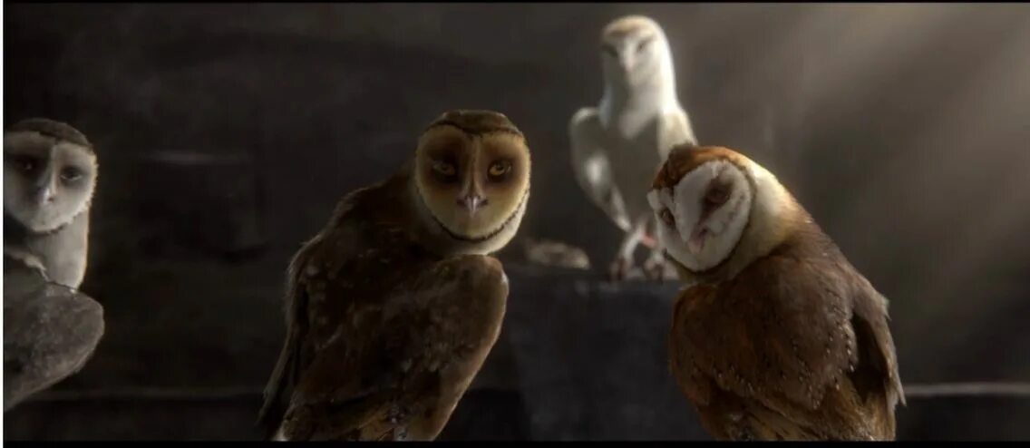 Легенды про сов. Сипуха легенды ночных стражей. ночные стражи сипуха. легенды ночных стражей найра.