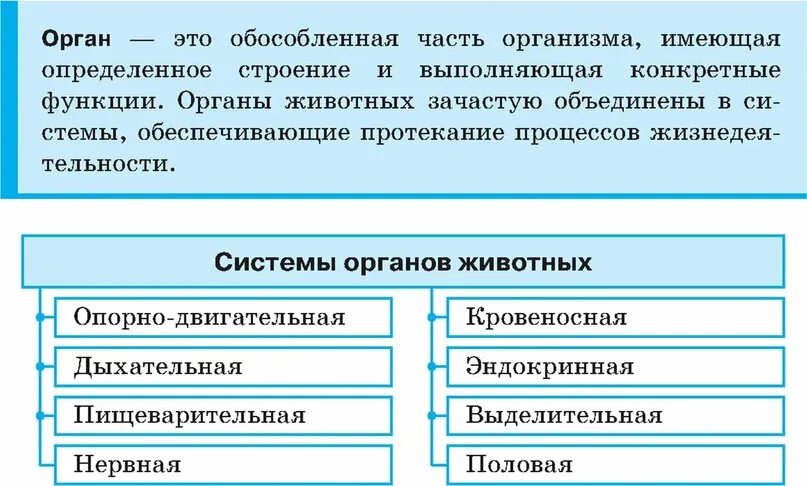 Органы животных 6 класс. Системы органов животных 7 класс биология. Схемы систем органов животных 7 класс. Строение и функции органов и их систем у животных. Системы органов животных 5 класс биология таблица.