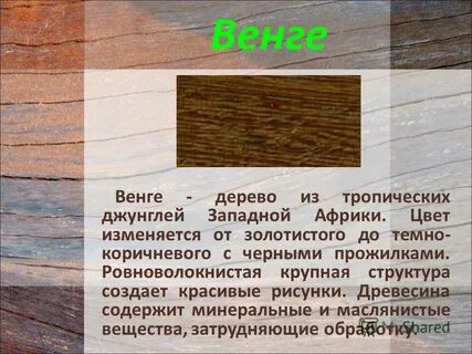 Древесно содержащей