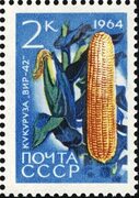 Файл:The Soviet Union 1964 CPA 3063 stamp (Agricultural Crops of the USSR. Maize or corn 'VIR 42' (Zea mays)).jpg - Википедия