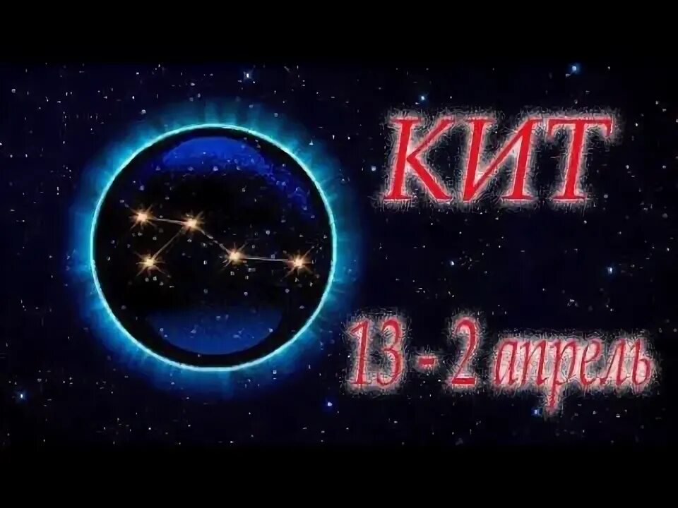 Кит верхний Зодиак. 14 Знак зодиака кит. Кит гороскоп.