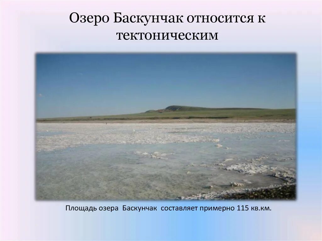 Происхождение озера Баскунчак. Площадь озера Баскунчак. Баскунчакский заповедник озеро Баскунчак. Озёрная котловина Баскунчак. Богатства астраханской области