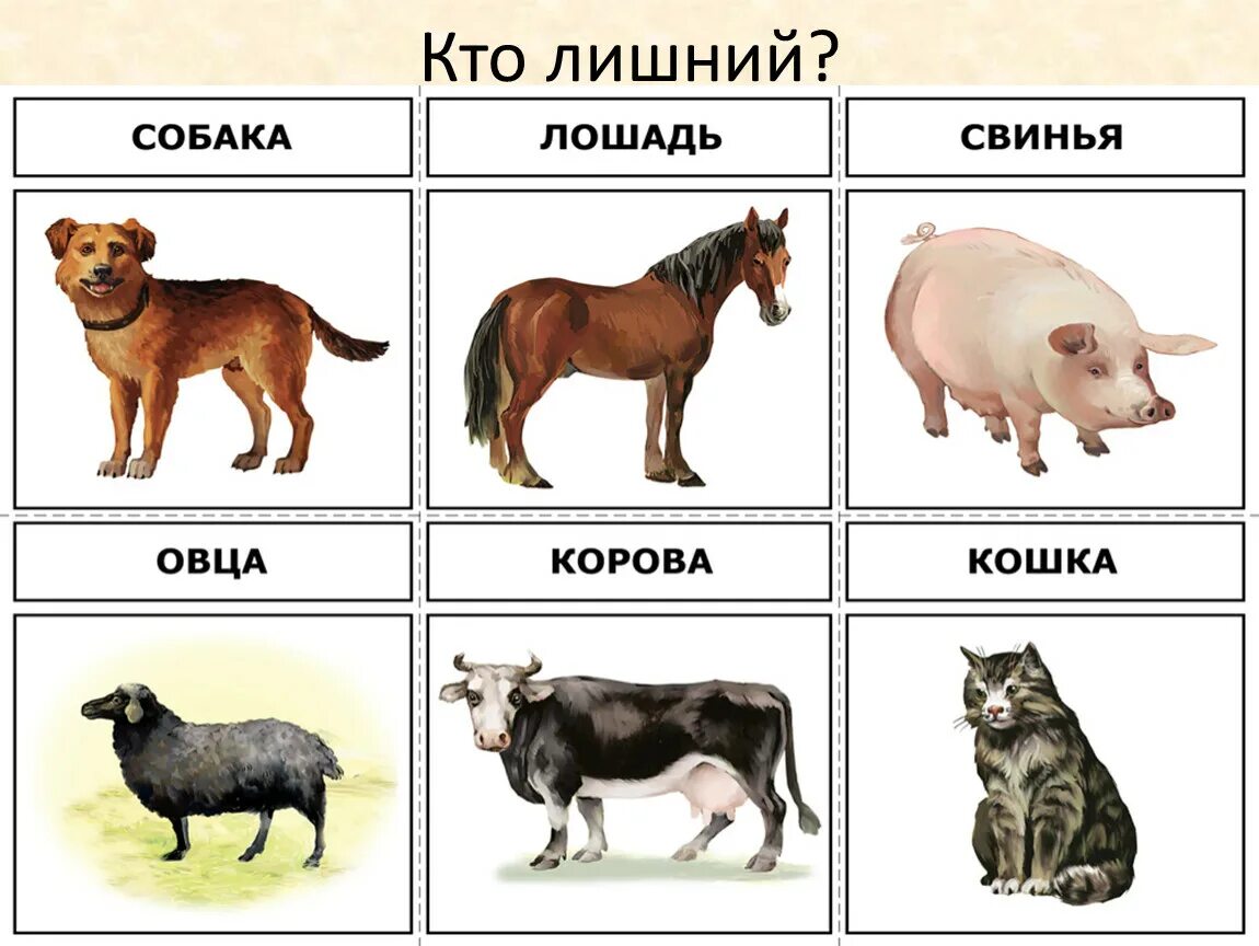Карточки с изображением домашних животных. Домашние животные названия. Кошка собака корова коза лошадь. Домашние животные свинья корова. Корова свинья собака кошка