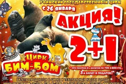 Цирк в сипайлово расписание