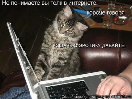 Загружайся там