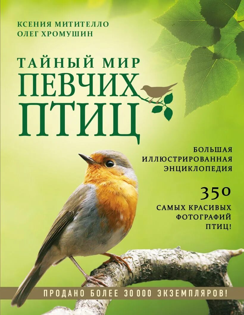 Читать певчие птицы. Тайный мир певчих птиц. большая иллюстрированная энциклопедия. симкин певчие птицы. книги о птицах.