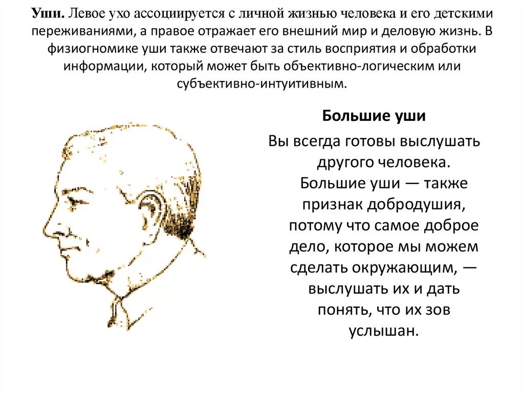 Мочки ушей значение. Физиогномика уши. форма ушей физиогномика. физиогномика мочки ушей. физиогномика мочка уха.