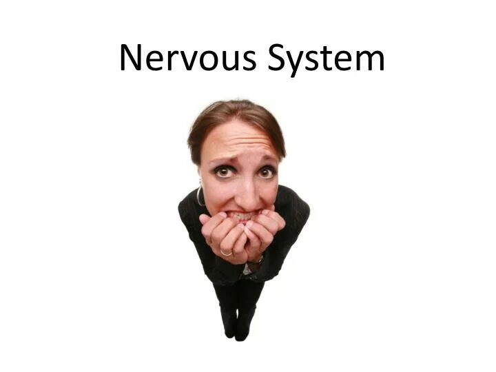 What are you nervous. Nervous. нервничает вектор. nervous person. be nervous.