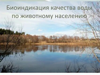 Канал является пресным водоемом