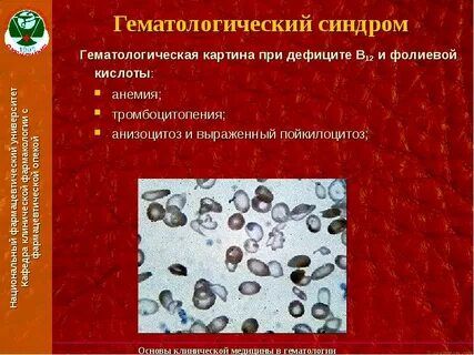 Клиническая гематология