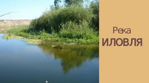 Погода в иловле волгоградской на 10