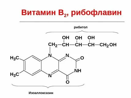 Рибофлавин активная форма