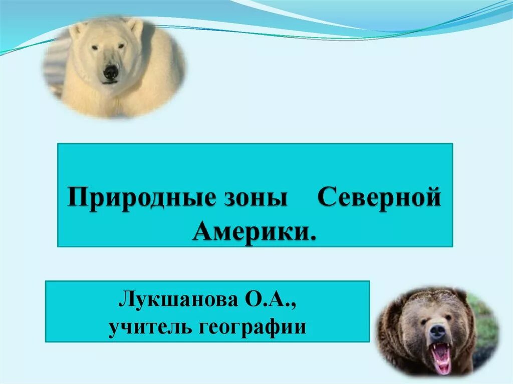 Презентация природные зоны северной америки 7. Природные зоны Северной ам. Сообщение о природной зоне Северной Америки. Природные зоны Северной Америки 7 класс. Природные зоны Северной Америки 7 класс география.