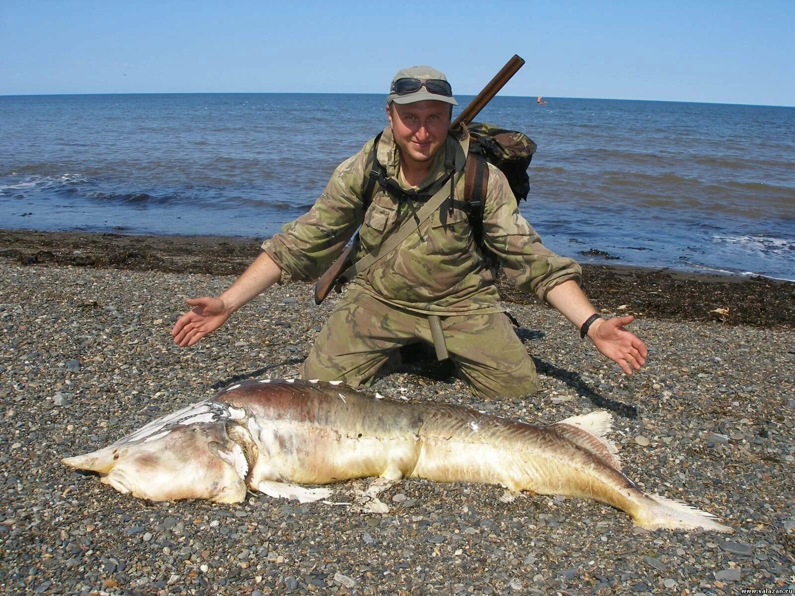 Виды рыб в охотском море. Охотское море рыбалка. морская рыбалка в охотском море. морская собака охотское море. охотское море рыбаки.