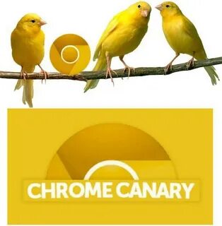 Google chrome canary