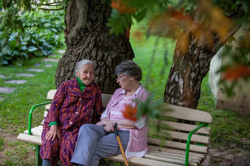 Сиделки для пожилых людей. Пожилая женщина на даче. Дом престарелых. Что такое деменция у пожилых людей. Пансионат с деменцией oldness ru