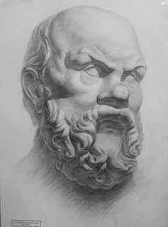 Голова сократа